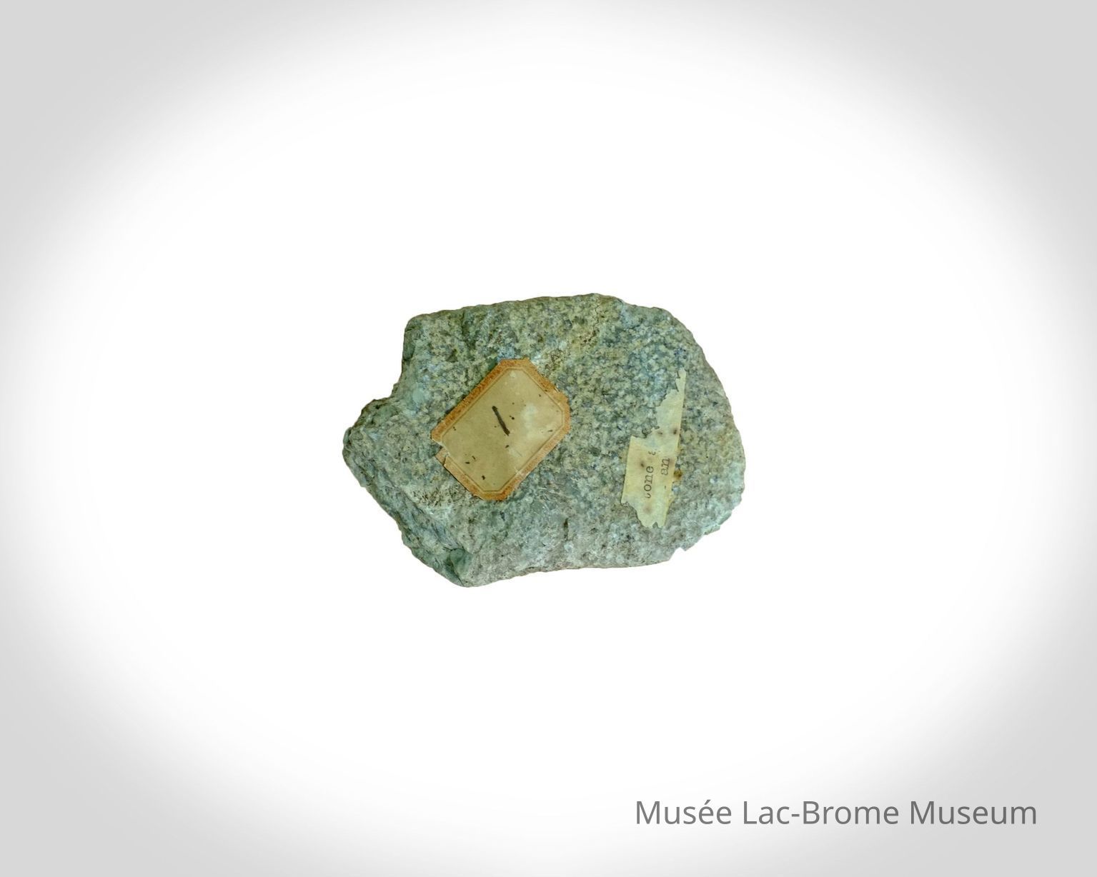 Hidden Gems / Les joyaux cachés