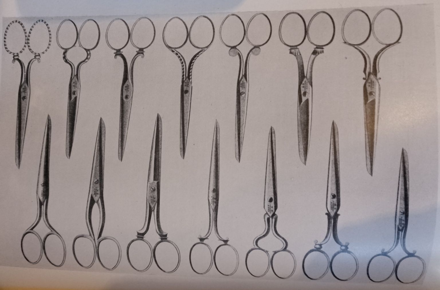 6 - Shank Types