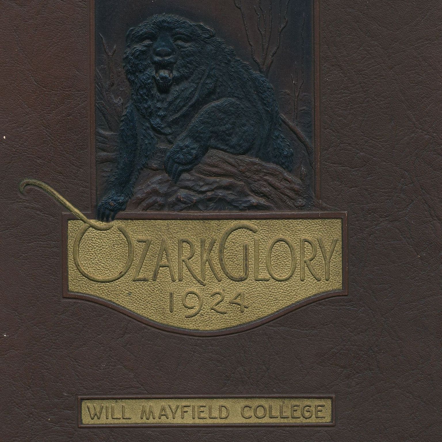 Will Mayfield College