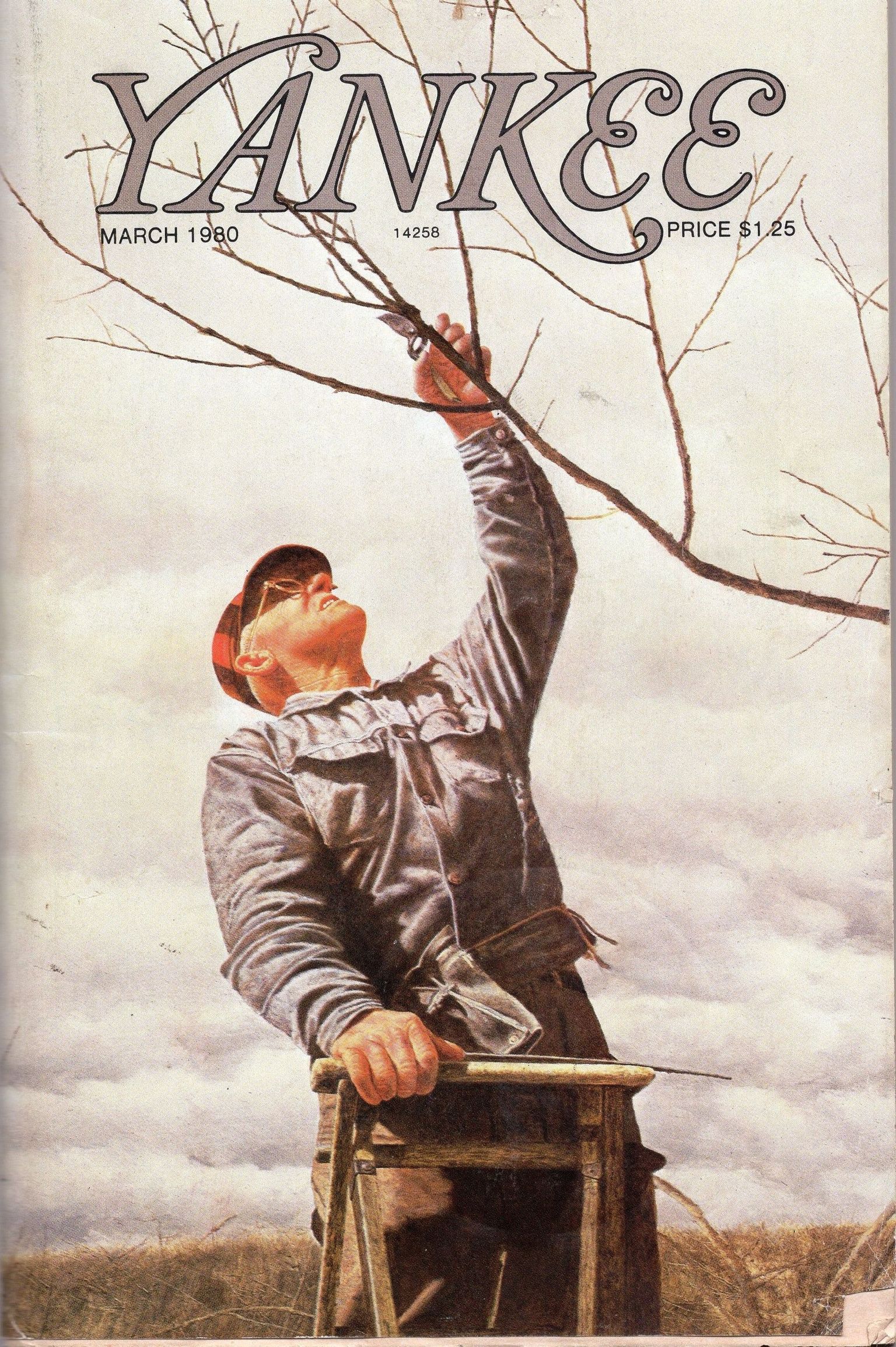 Books & Publications