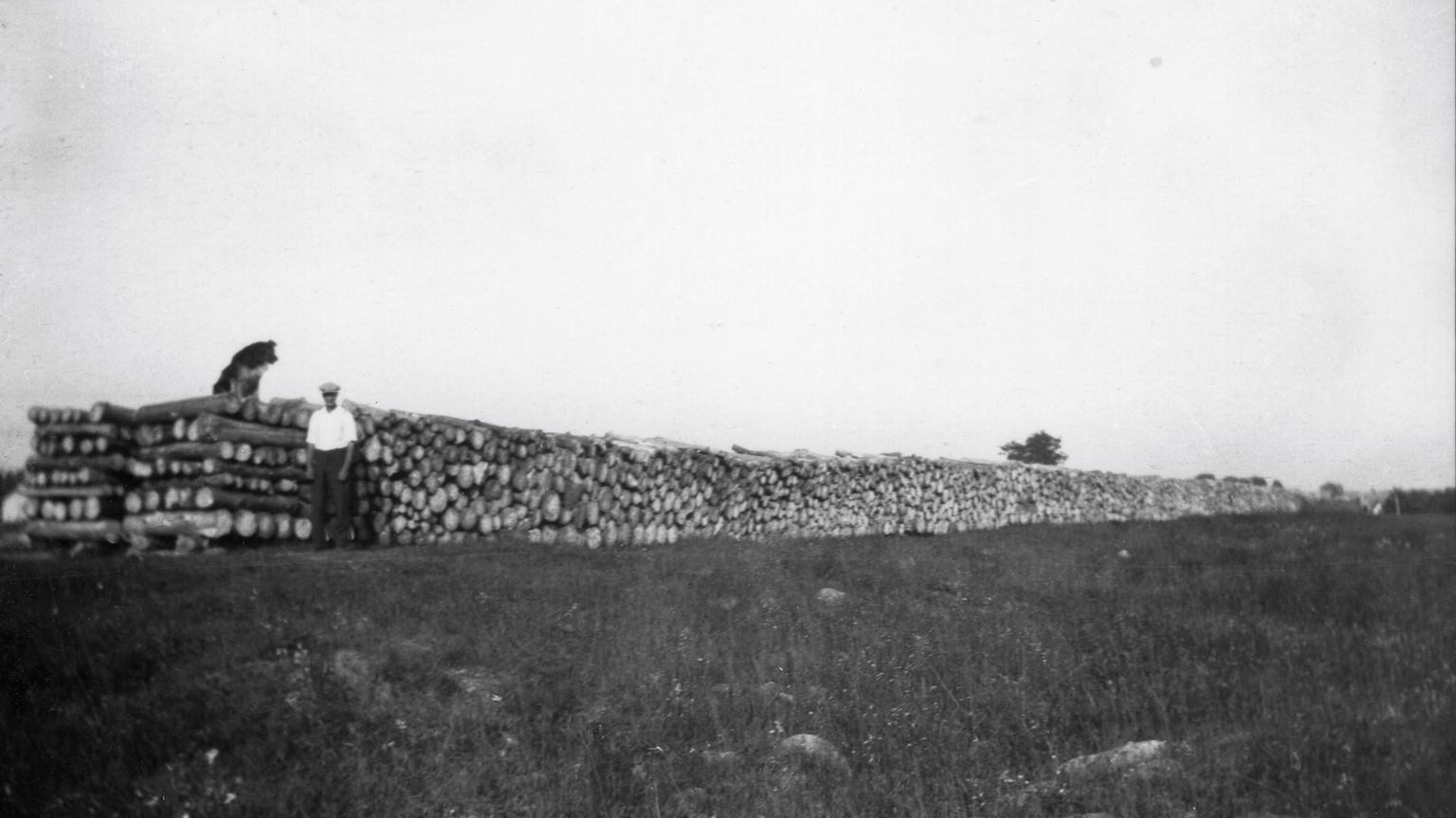 Agriculture