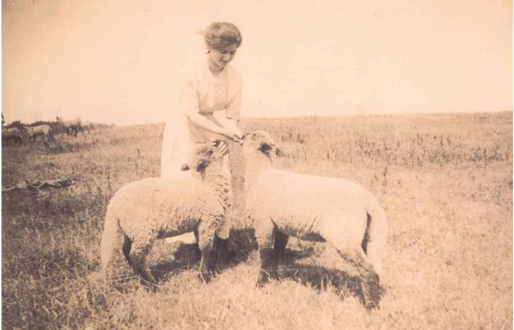 Animals & Agriculture