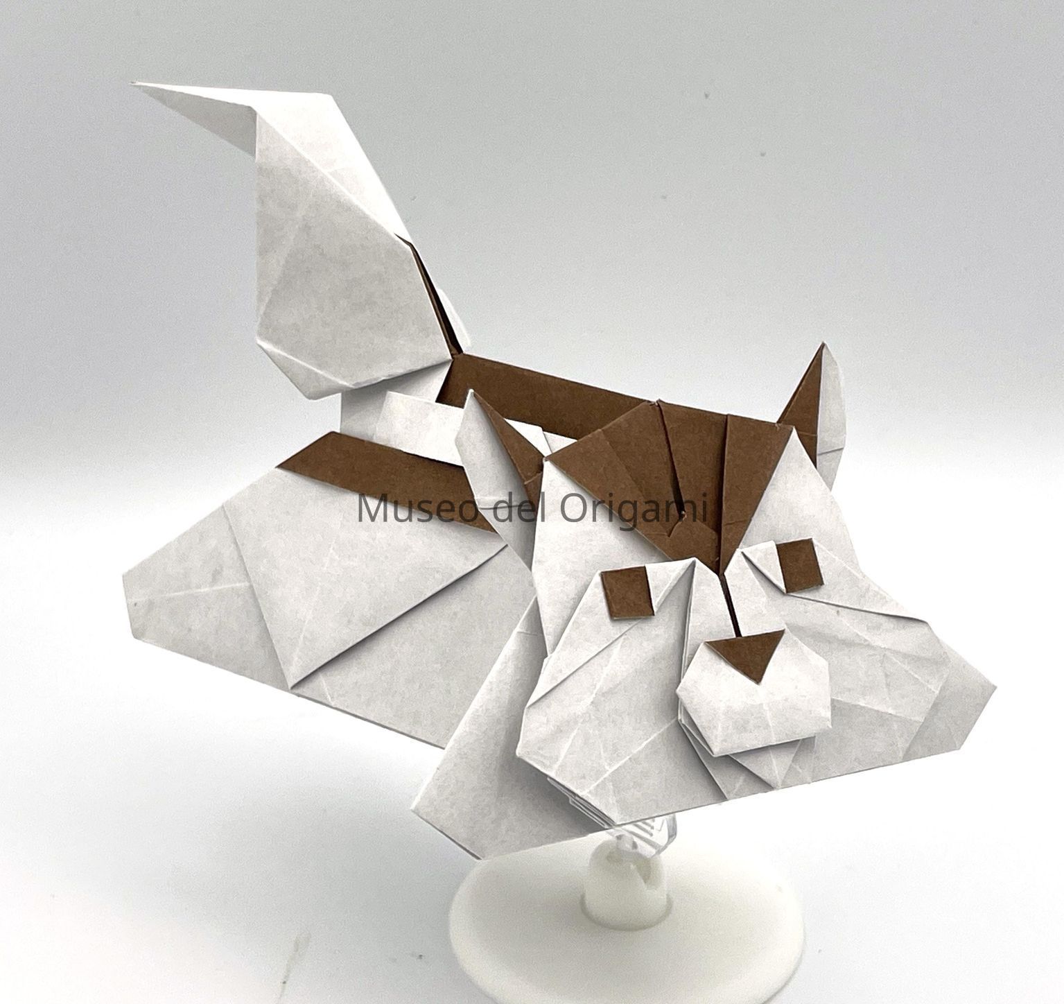 Creator:  Chen, Xiao (China)