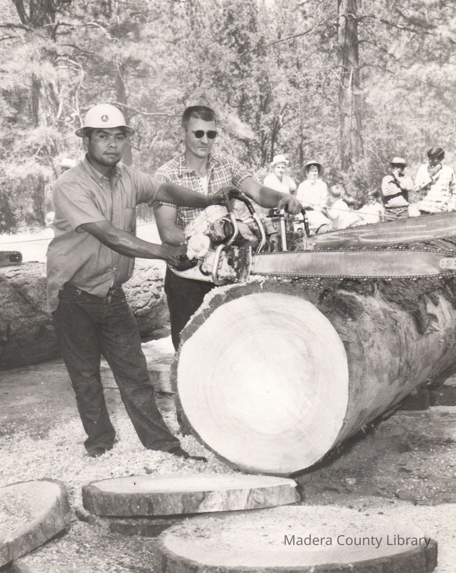 Logging History