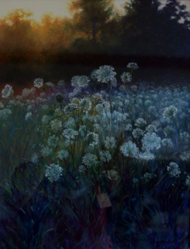 The image depicts a serene landscape with a field of white flowers softly illuminated by the warm glow of the setting sun, casting long shadows and creating a beautiful contrast against the cool, shadowy background of dense, dark trees. The scene captures a tranquil moment, where the soft, diffused light highlights the delicate nature of the foliage.