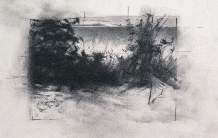The image is a monochromatic charcoal sketch depicting a landscape with dense foliage and a few trees on a slightly rocky terrain. Soft shading and blurred lines create a sense of depth, while the abstract style captures the movement of leaves in an implied breeze, adding to the naturalistic atmosphere.