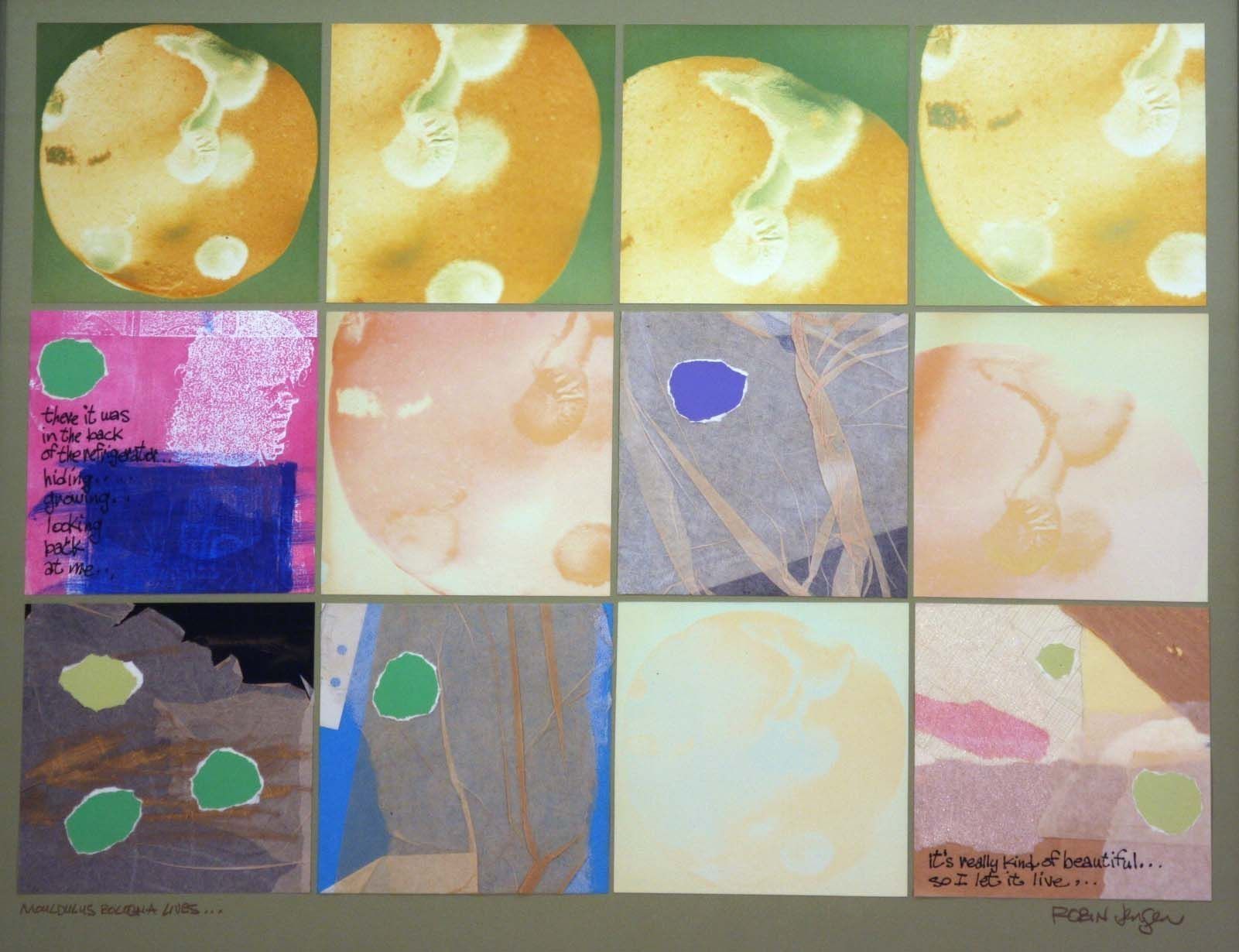 The image is a grid of twelve panels with abstract and organic themes, primarily featuring large circular forms in yellow, green, and orange tones against varied backgrounds. Several panels exhibit text, including handwritten phrases such as “there it was in the back of the refrigerator, hiding, growing, looking back at me...” and “It's really kind of beautiful... so I let it live...” The arrangement includes a mix of photographic textures, abstract designs, and collage elements, with vibrant splashes of color and overlapping geometric shapes. The artwork seems to explore themes of unexpected discovery and finding beauty in overlooked or mundane aspects of life.