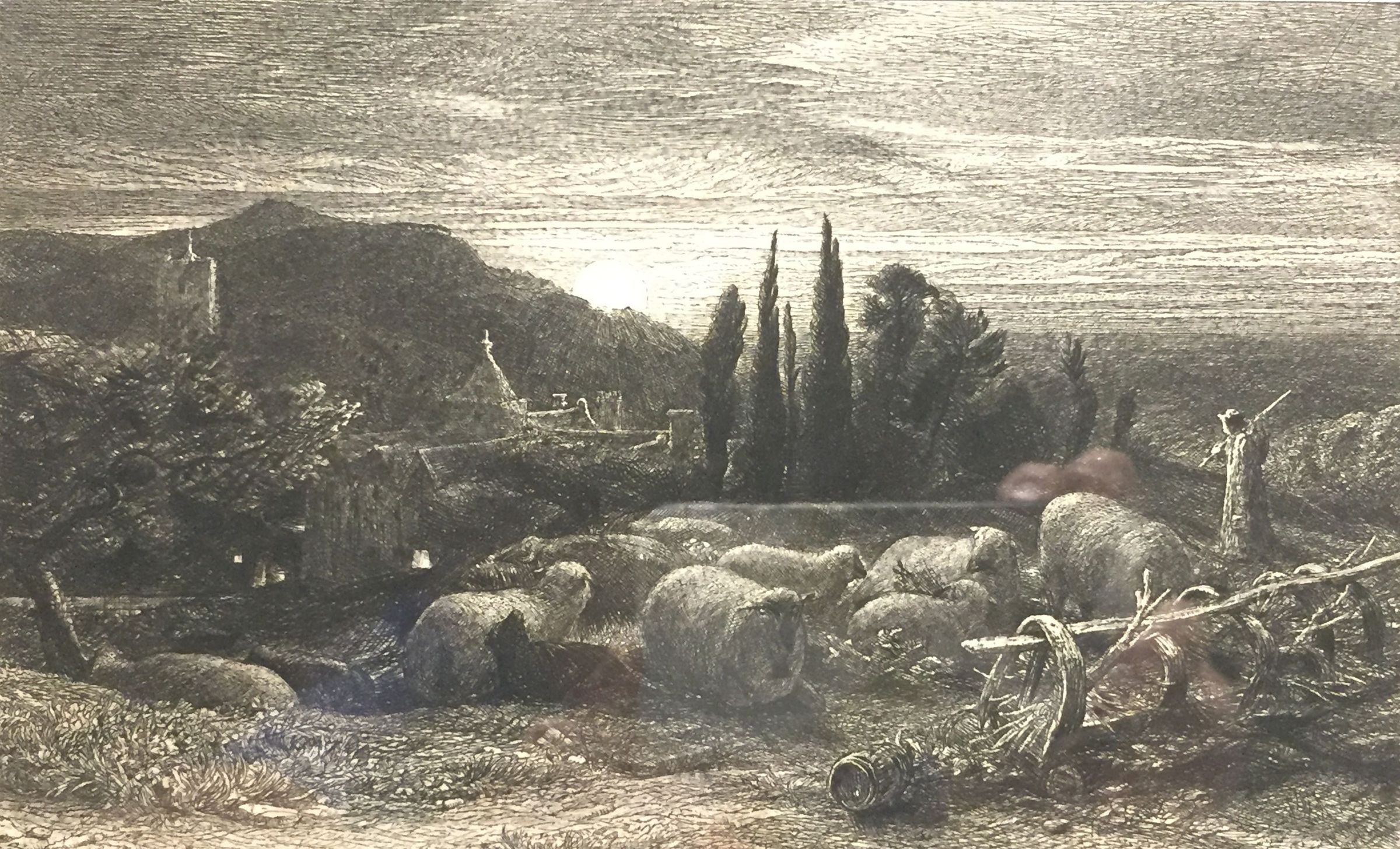 The image depicts a pastoral scene with sheep grazing peacefully in the foreground, surrounded by twisted branches and foliage. In the mid-ground, there is a shepherd holding a staff, watching over the flock. Tall, slender trees rise behind them, framing a distant hillside under a dramatic, textured sky.