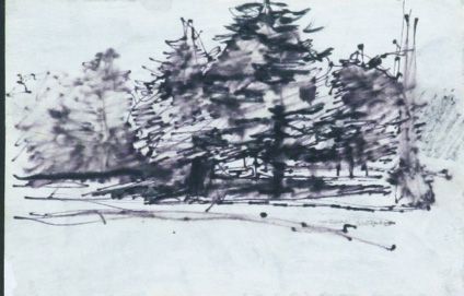 The image is an artistic sketch depicting a part of the Calvin College campus, highlighting a cluster of variously sized trees rendered in an expressive, somewhat abstract style. The scene is composed with loose brushstrokes, capturing the essence of the natural landscape, including the tall, leafy trees that dominate the background.