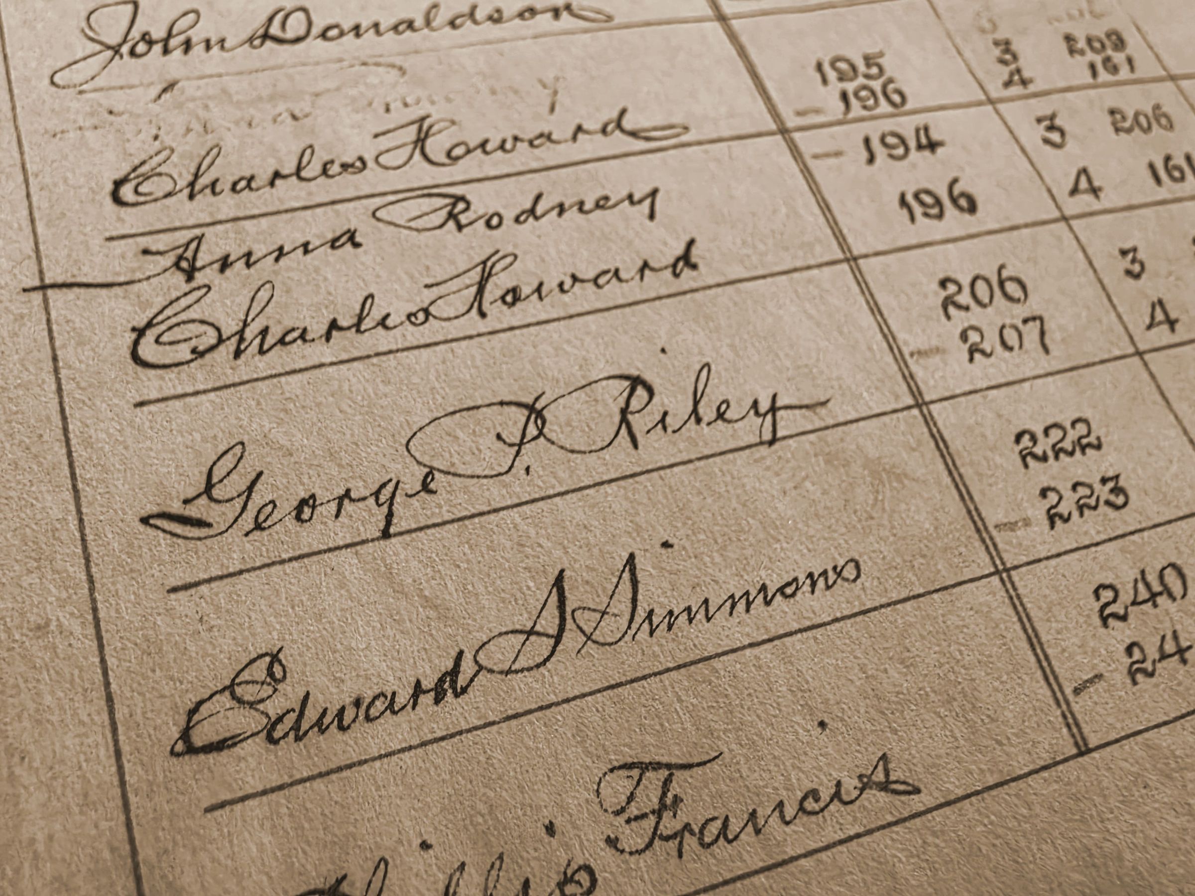 The Griot's Archive & Collections hero image