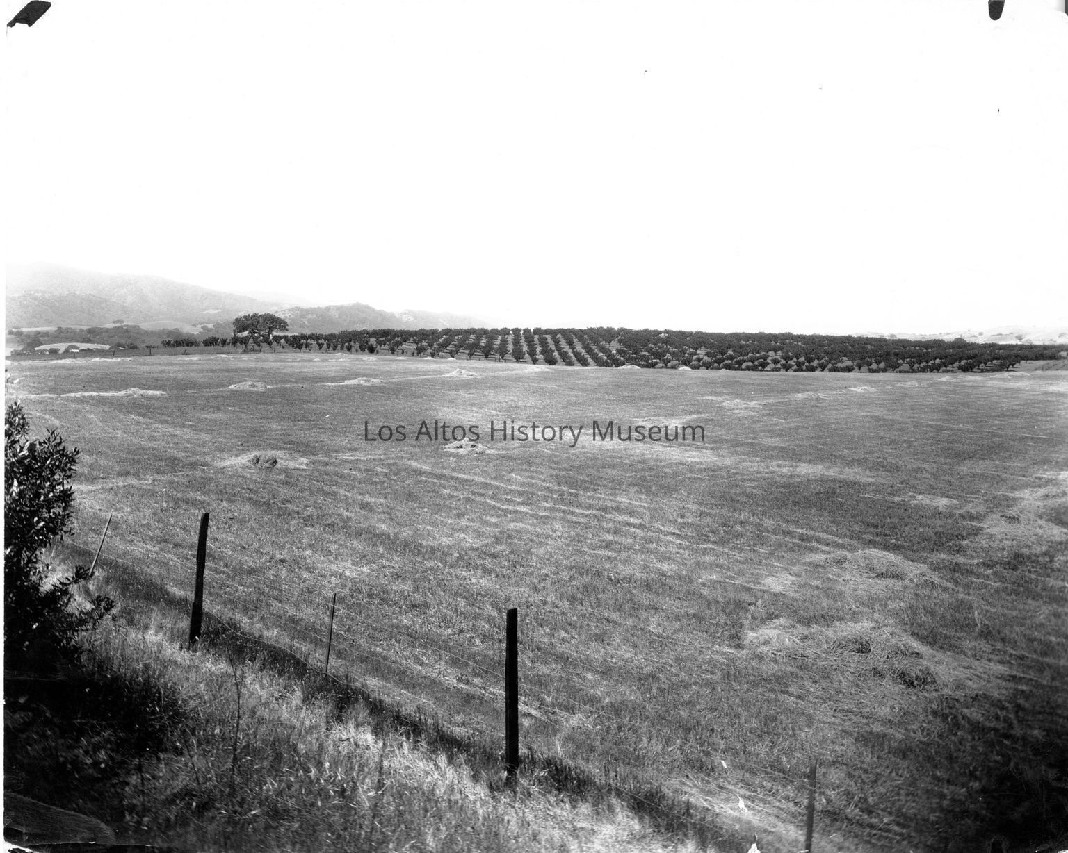 Agriculture