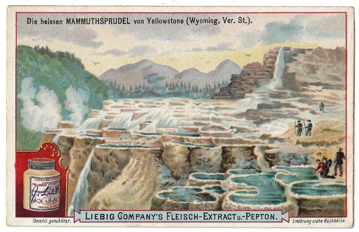 EPHEMERA - TRADE CARDS