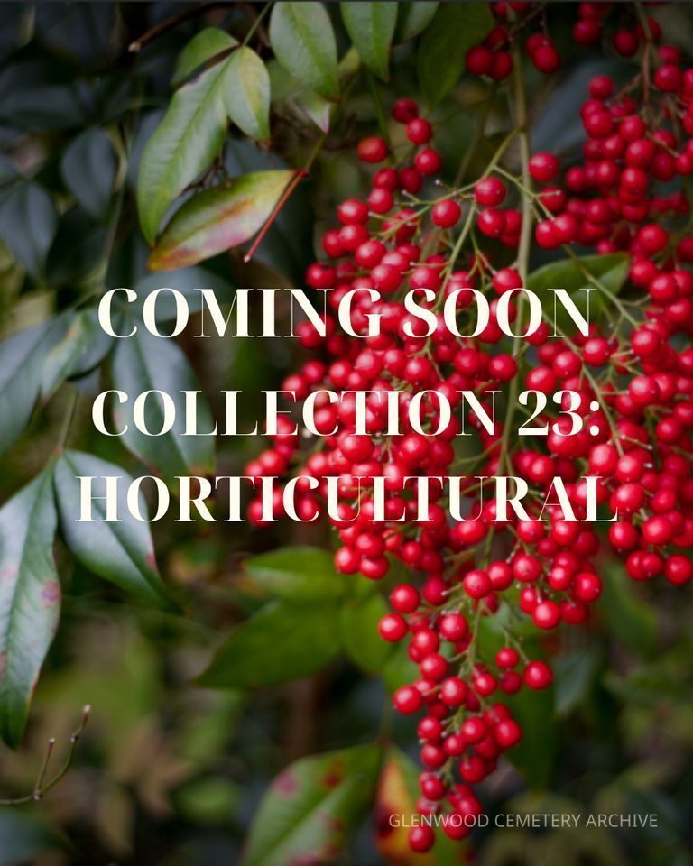 Collection 23: Horticultural