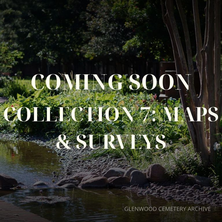 Collection 7: Maps & Surveys