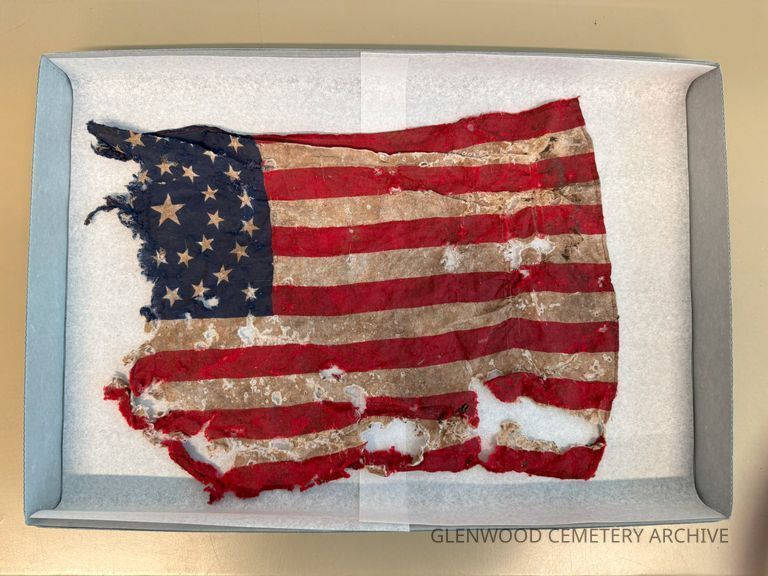 1877 Concentric Circle Designs Flag