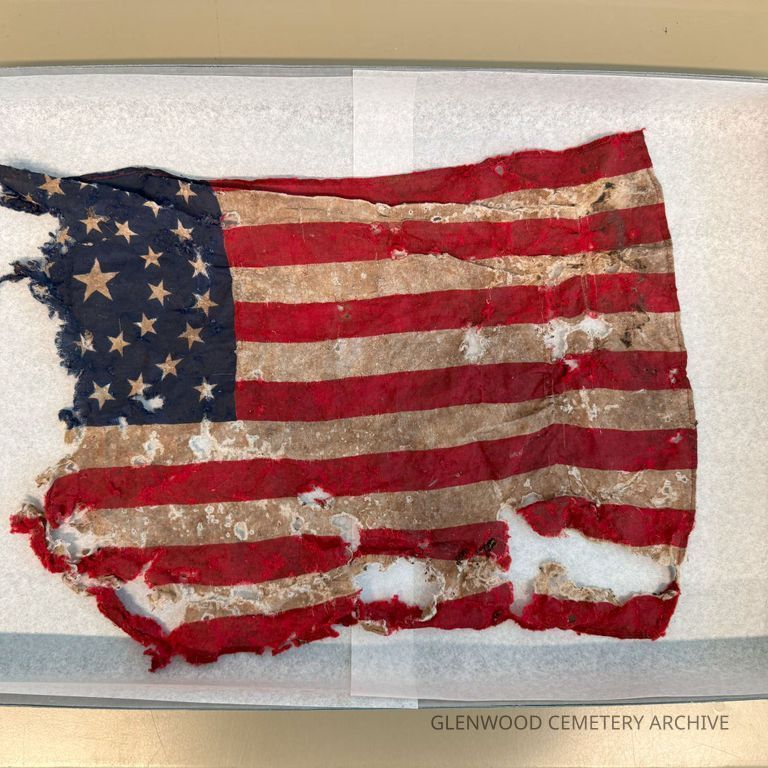 1877 Concentric Circle Designs Flag
