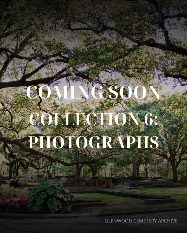 Collection 6: Photographs