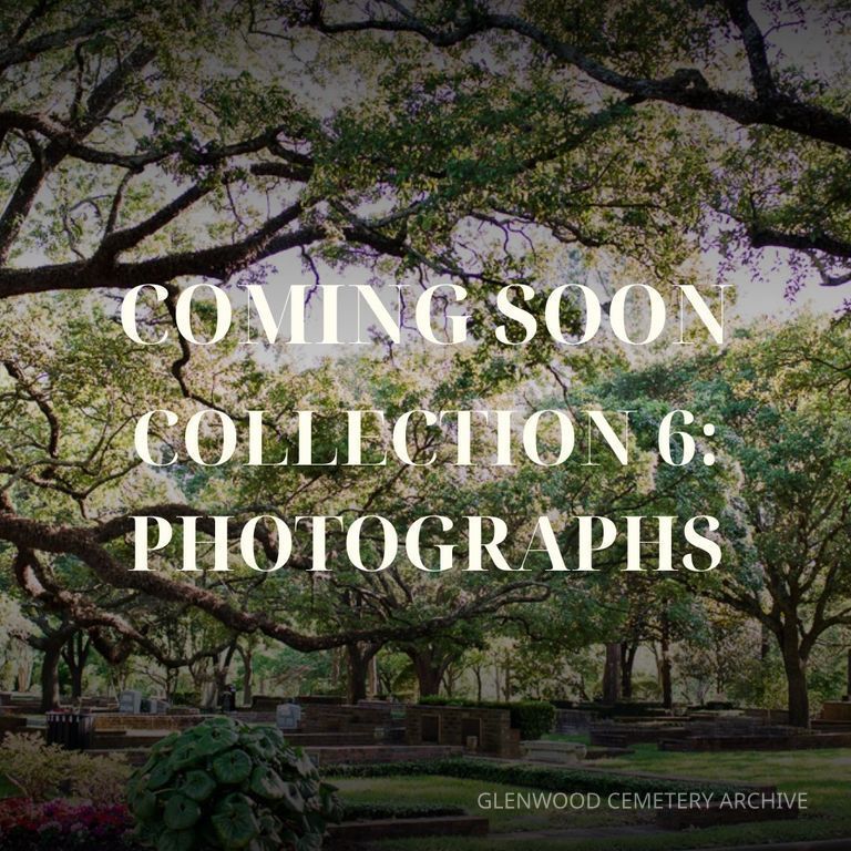 Collection 6: Photographs