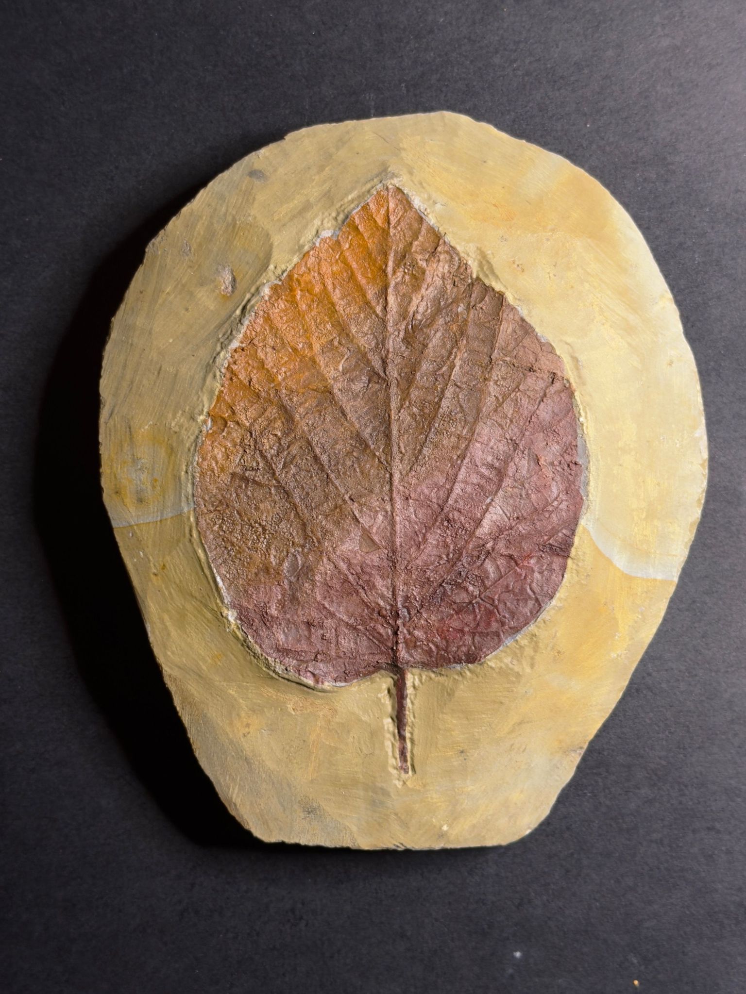 AB122 - Fossils