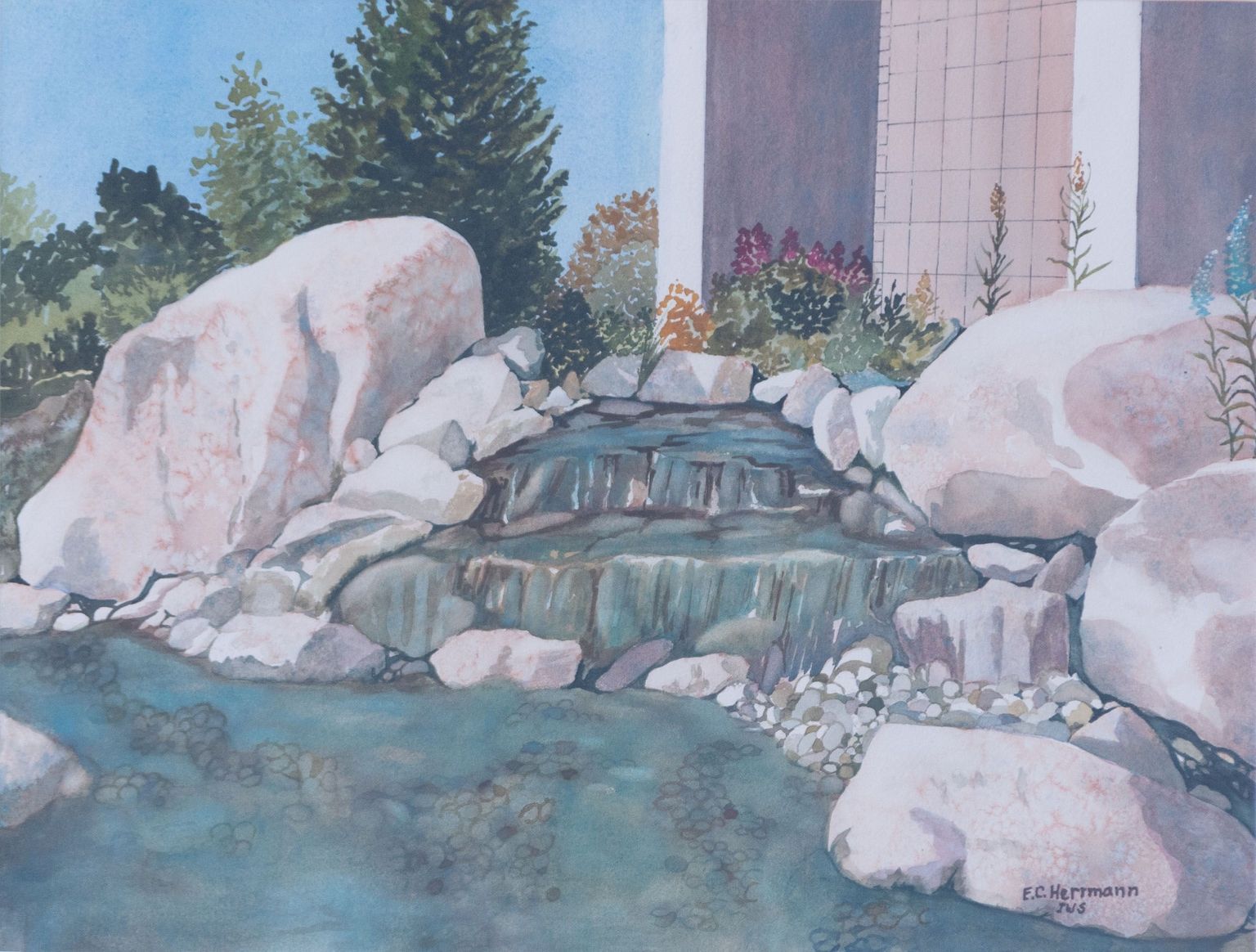 TAM's Permanent Collection