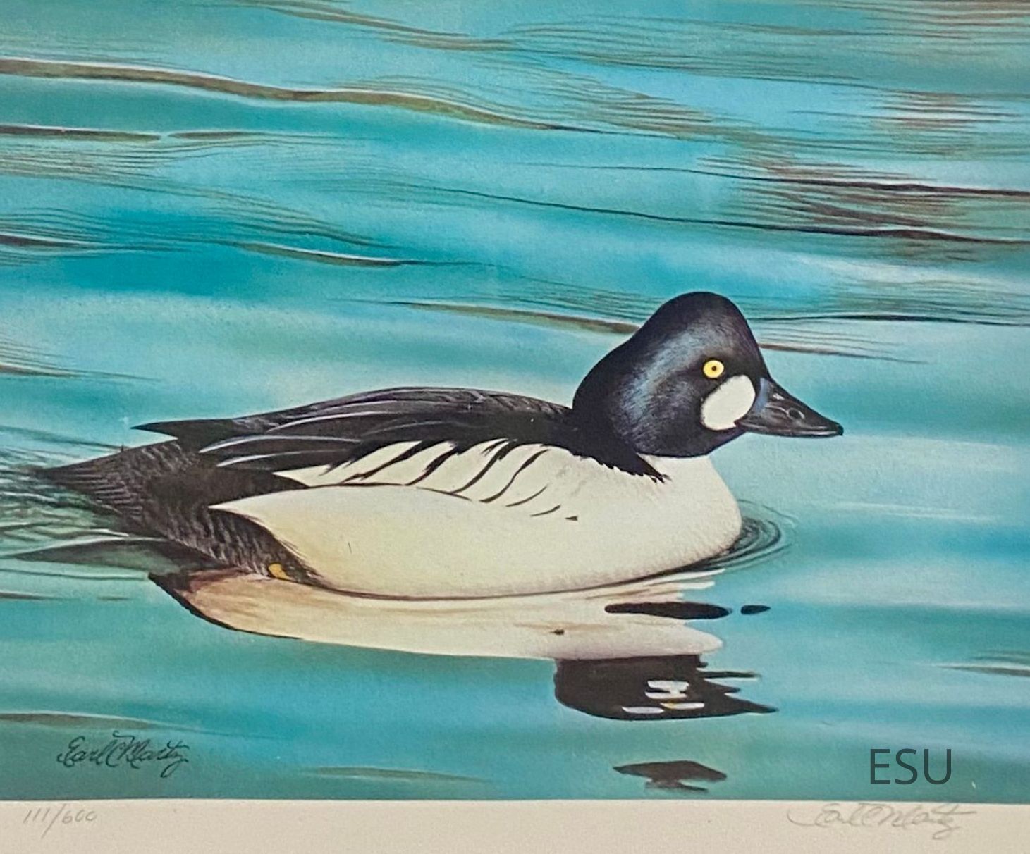Sterling Strauser Gallery Collection