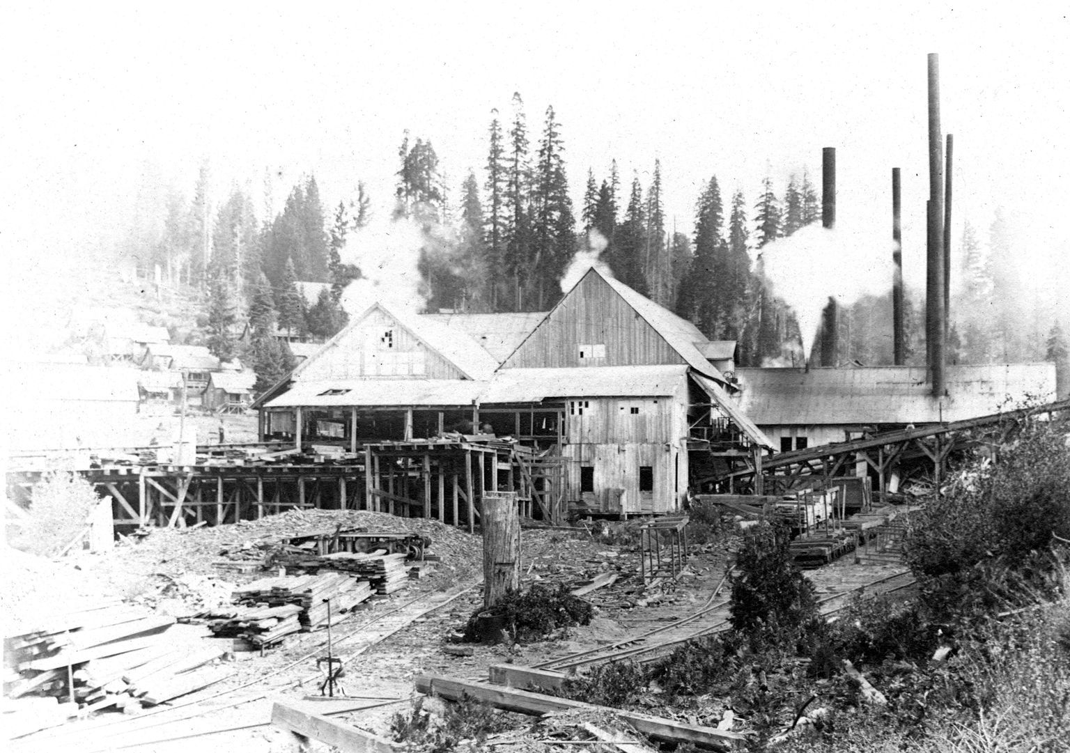 Logging