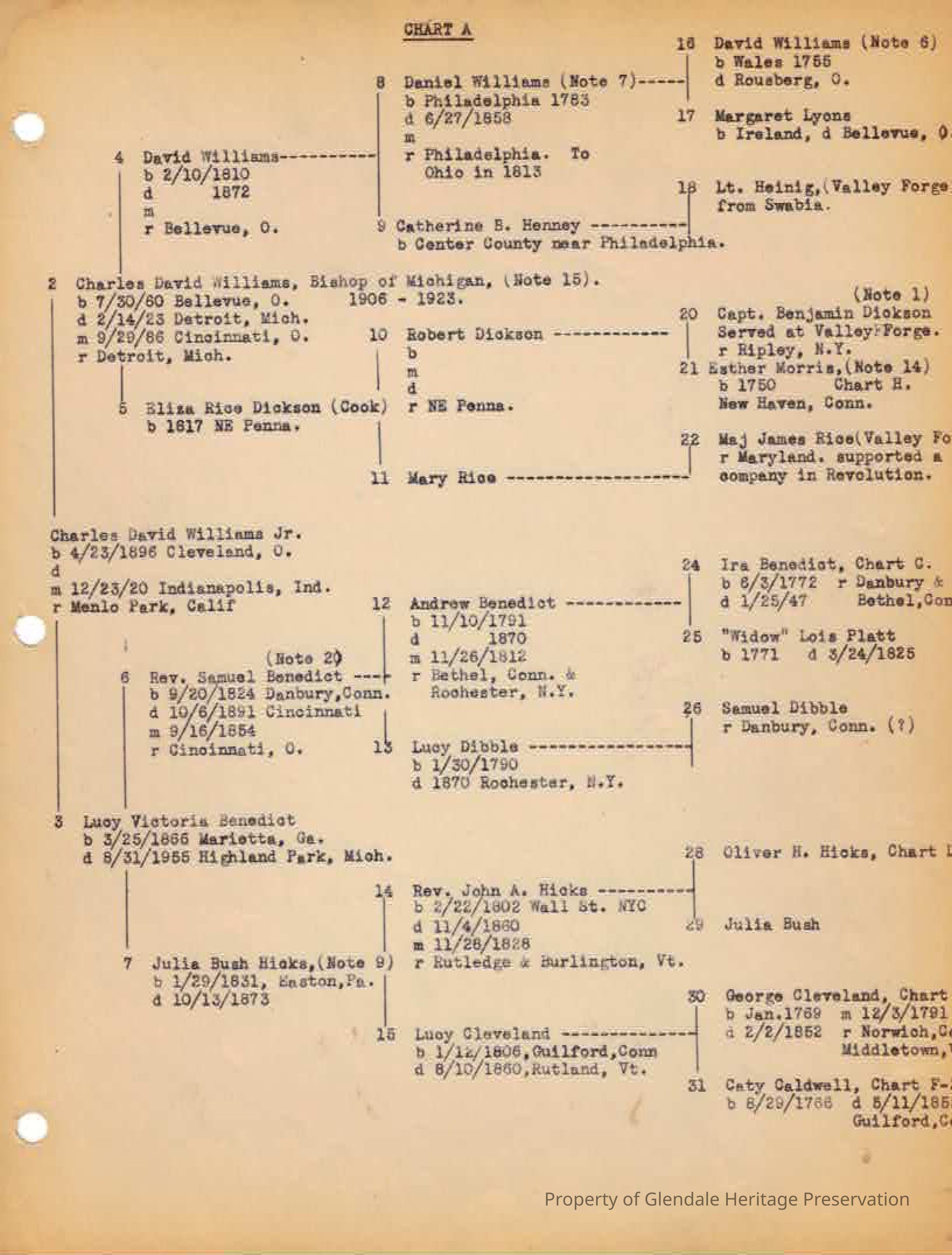 Geneology