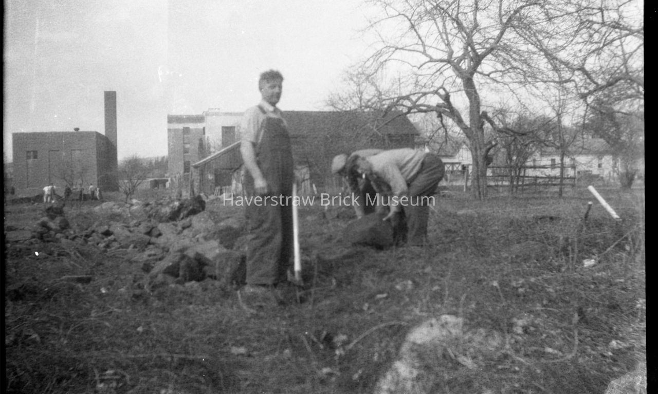 Dutch Garden Photograph Film with Prints