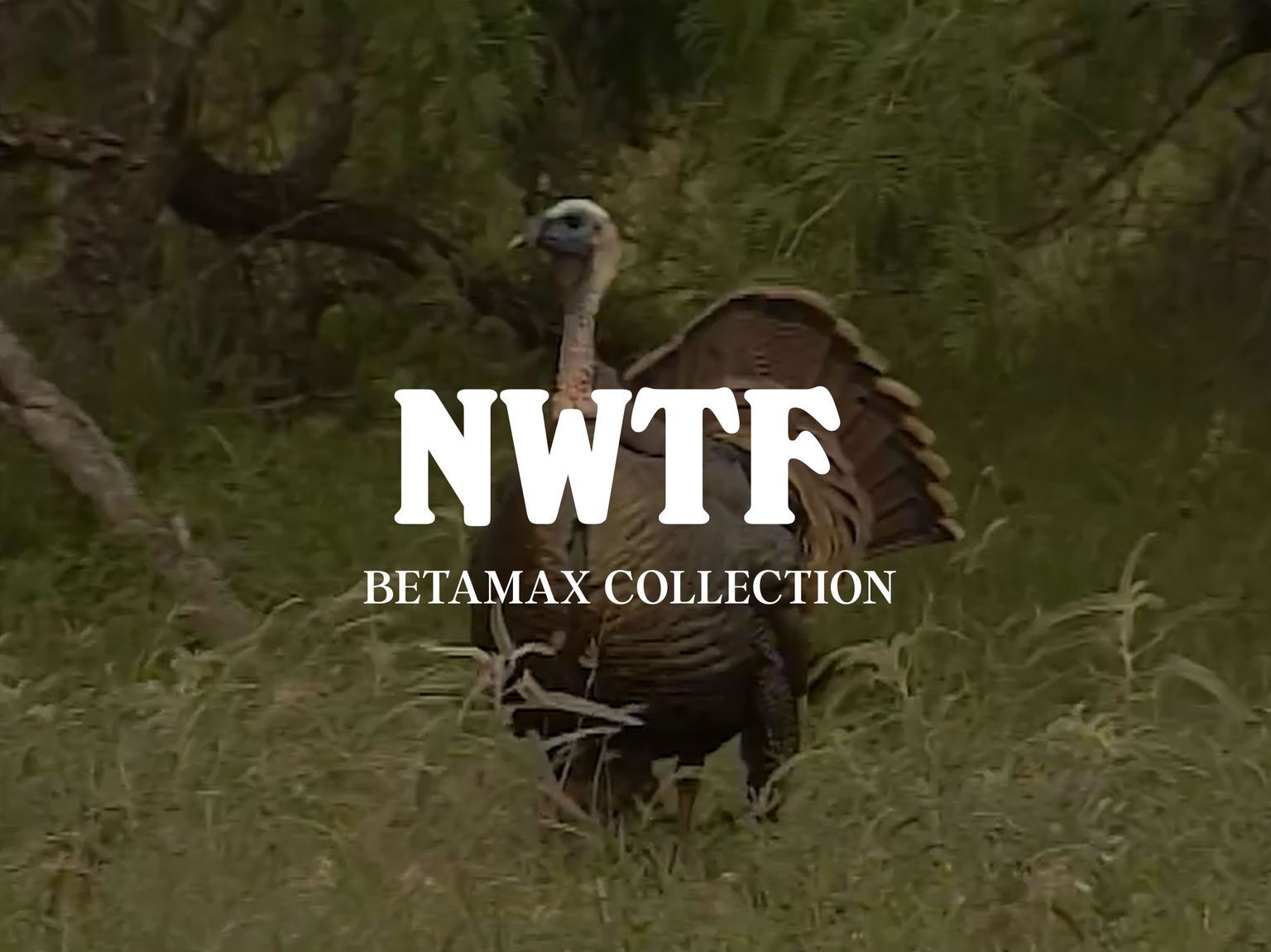 NWTF // Betamax Collection