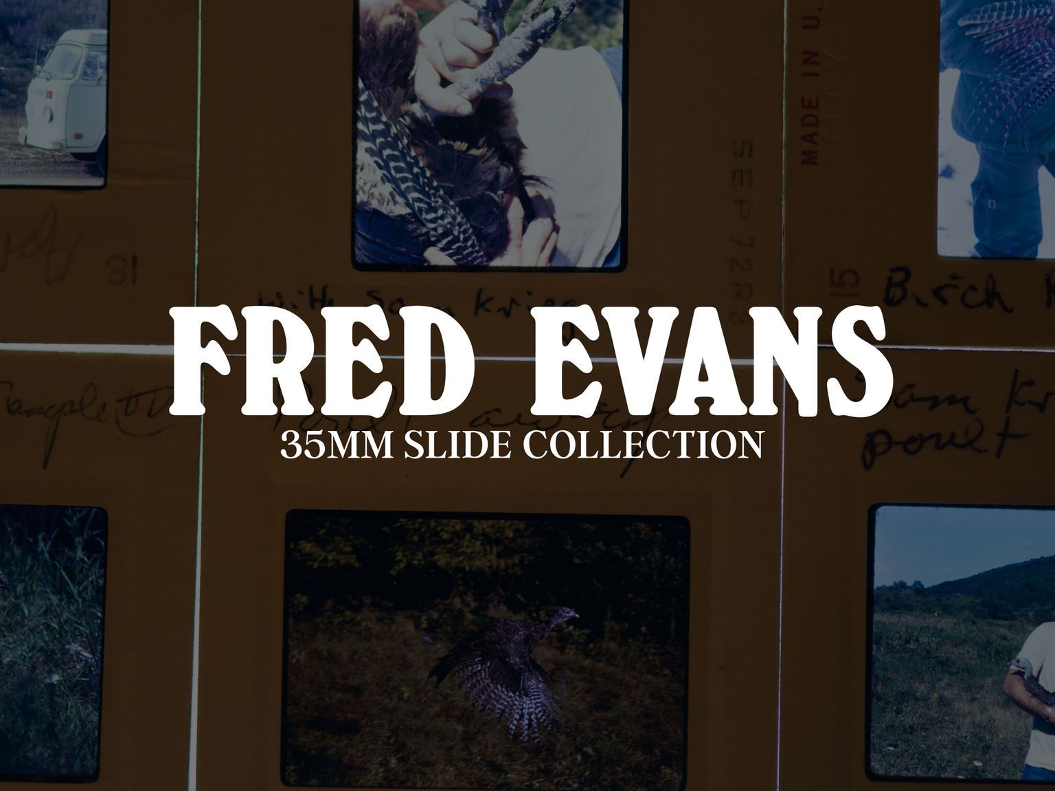 Fred Evans // 35mm Slide Collection