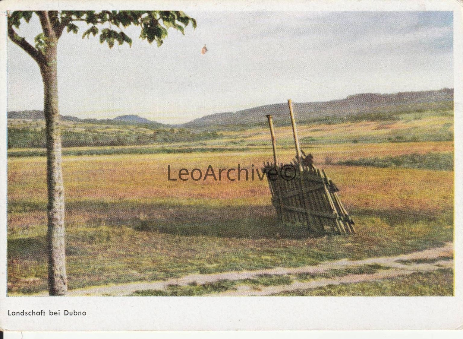 02 Postcards & Photos - Western Ukraine and Galicia