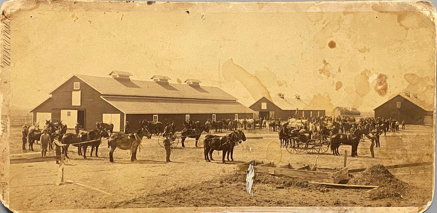 Agriculture/Farm Related