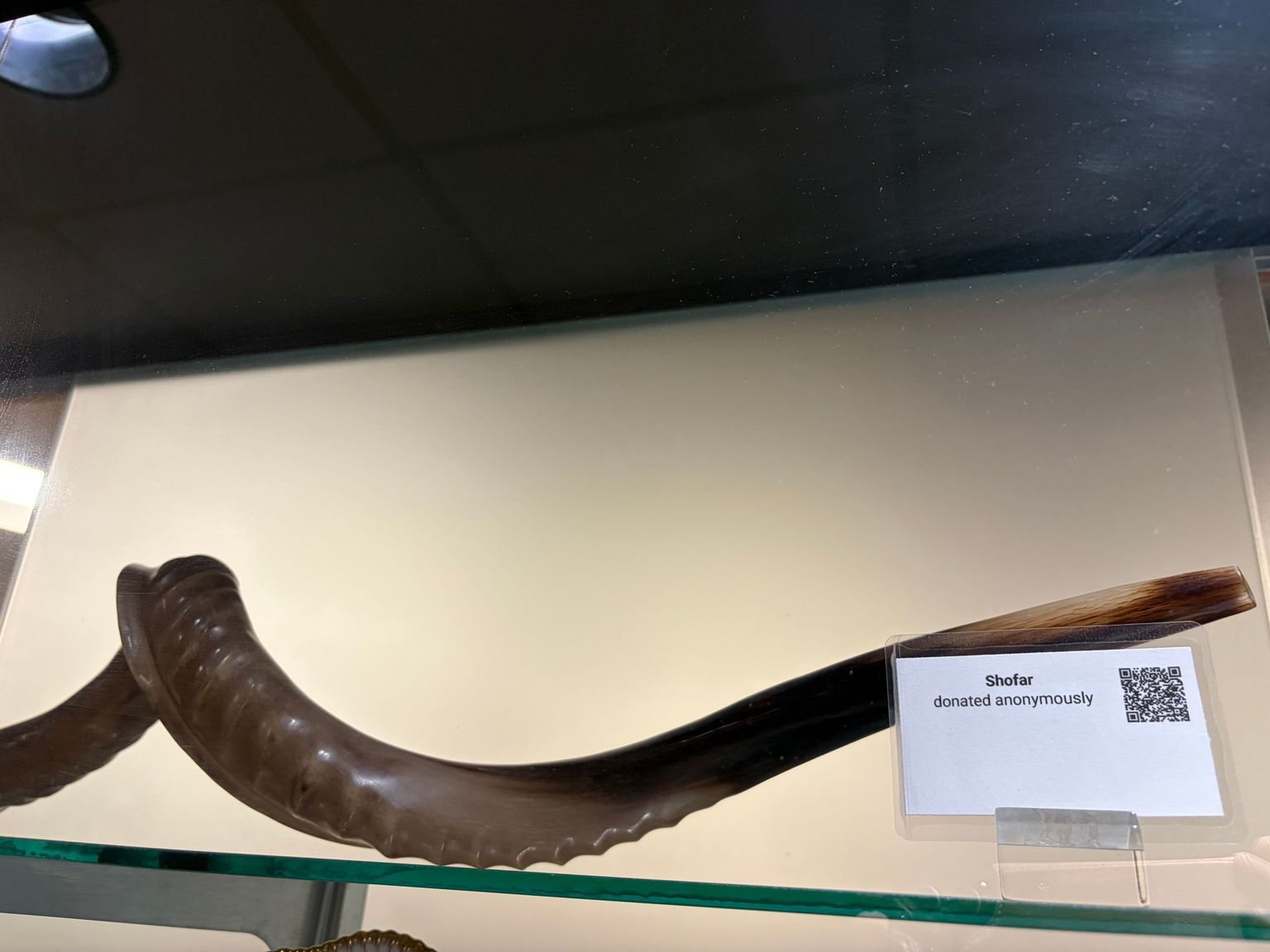 Musical Instrument
