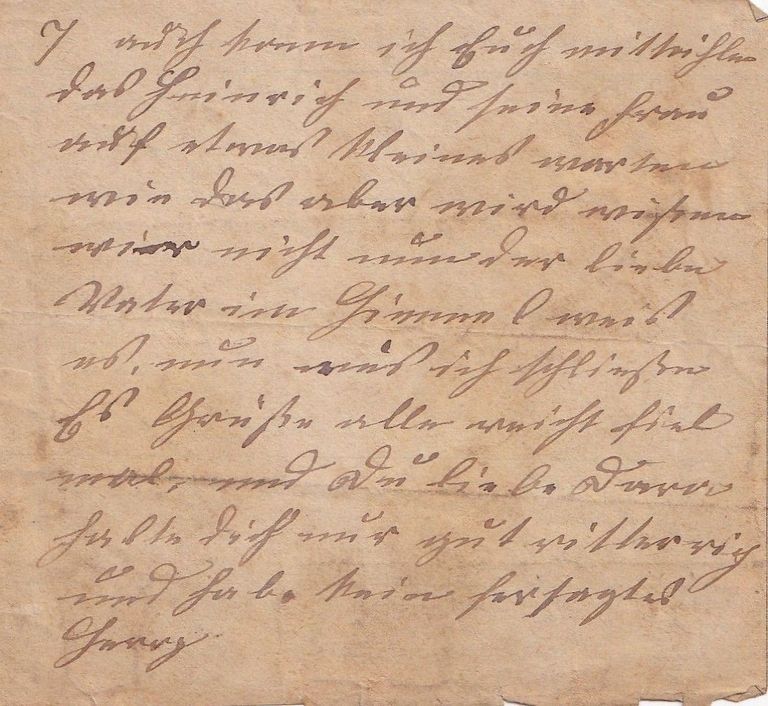 Fragments of German Family Correspondence and Mailing Envelope - Image 8
