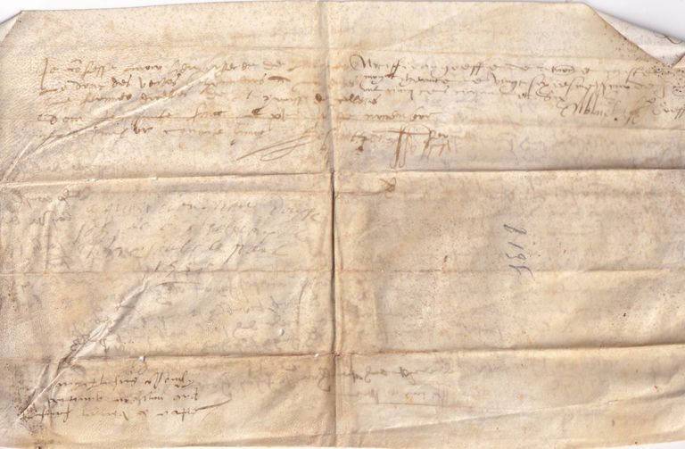 Vellum Legal Declaration or Memorandum (Early Modern France) - Image 2