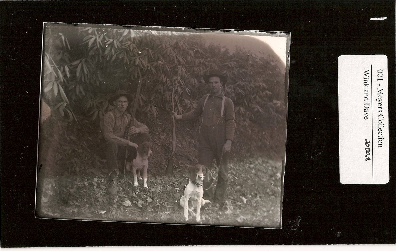 Photograph Entries With Photos