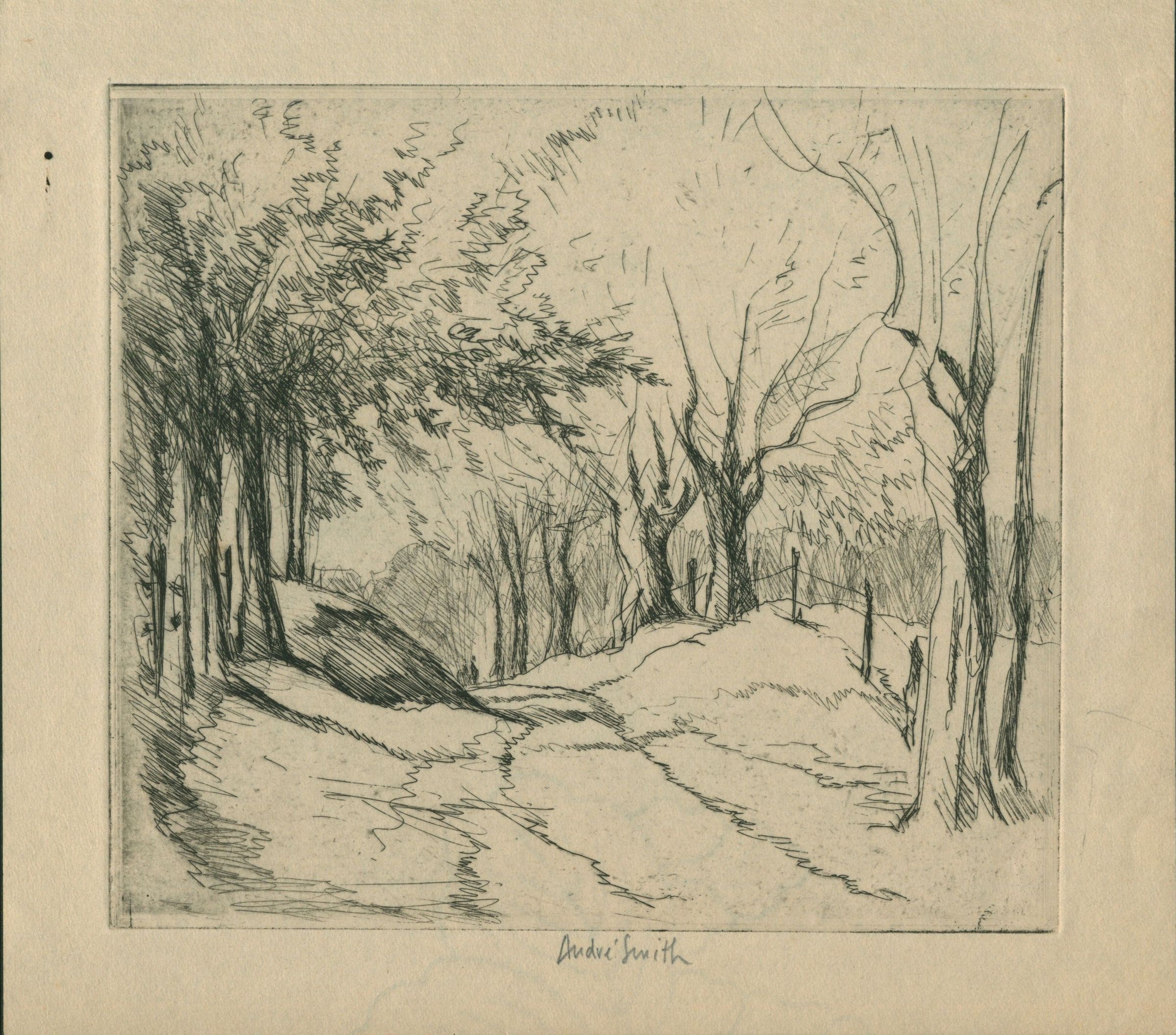 J. André Smith (American, 1880–1959), Untitled (Wooded Path), n.d. Etching on paper.: This etching by J. André Smith depicts a quiet woodland landscape, with a winding path extending through a clearing surrounded by tall trees and dense vegetation. The composition is framed by a cluster of leafy trees on the left and sparsely foliated trunks on the right, creating a natural passageway that draws the viewer's eye toward the distant landscape. Smith employs loose, expressive linework, varied hatching, and selective areas of shading to establish depth, texture, and the interplay of light and shadow. Unlike his more heavily worked etchings, this composition relies on an economy of line and generous areas of open space to convey the natural environment. The resulting scene emphasizes the quiet atmosphere of the wooded setting while demonstrating Smith's sensitivity to the expressive qualities of landscape.