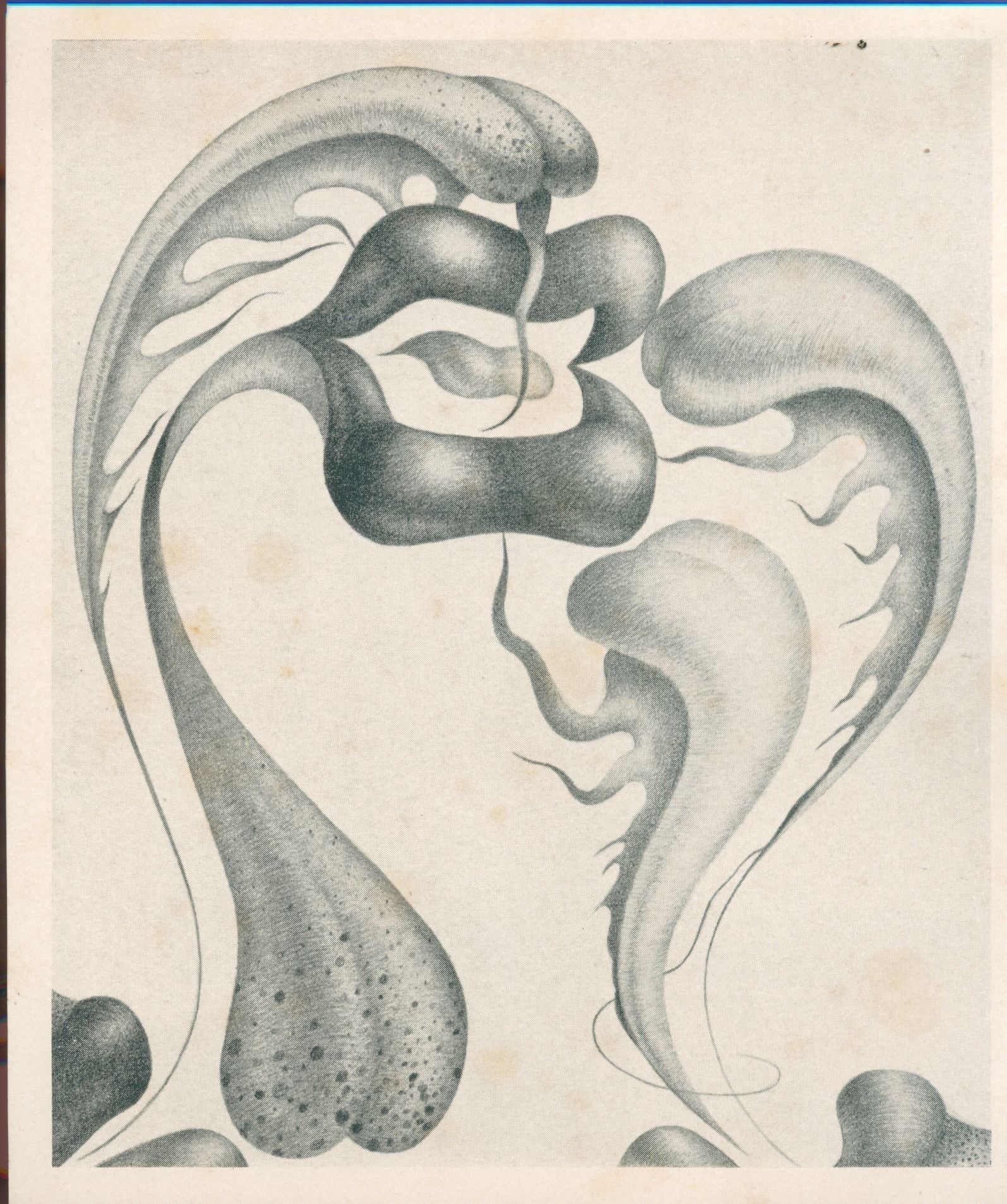This image features an abstract artwork characterized by organic, fluid forms and flowing lines, which intertwine and overlap to create a complex, balanced composition, predominantly in shades of gray, evoking a sense of movement and depth. The shapes have a biomorphic quality, resembling natural elements or cellular structures, and exhibit a gradation of shading to enhance their three-dimensionality, inviting viewers to interpret the forms in various imaginative ways. The intricate details and smooth textures showcase the artist’s skill and creativity.