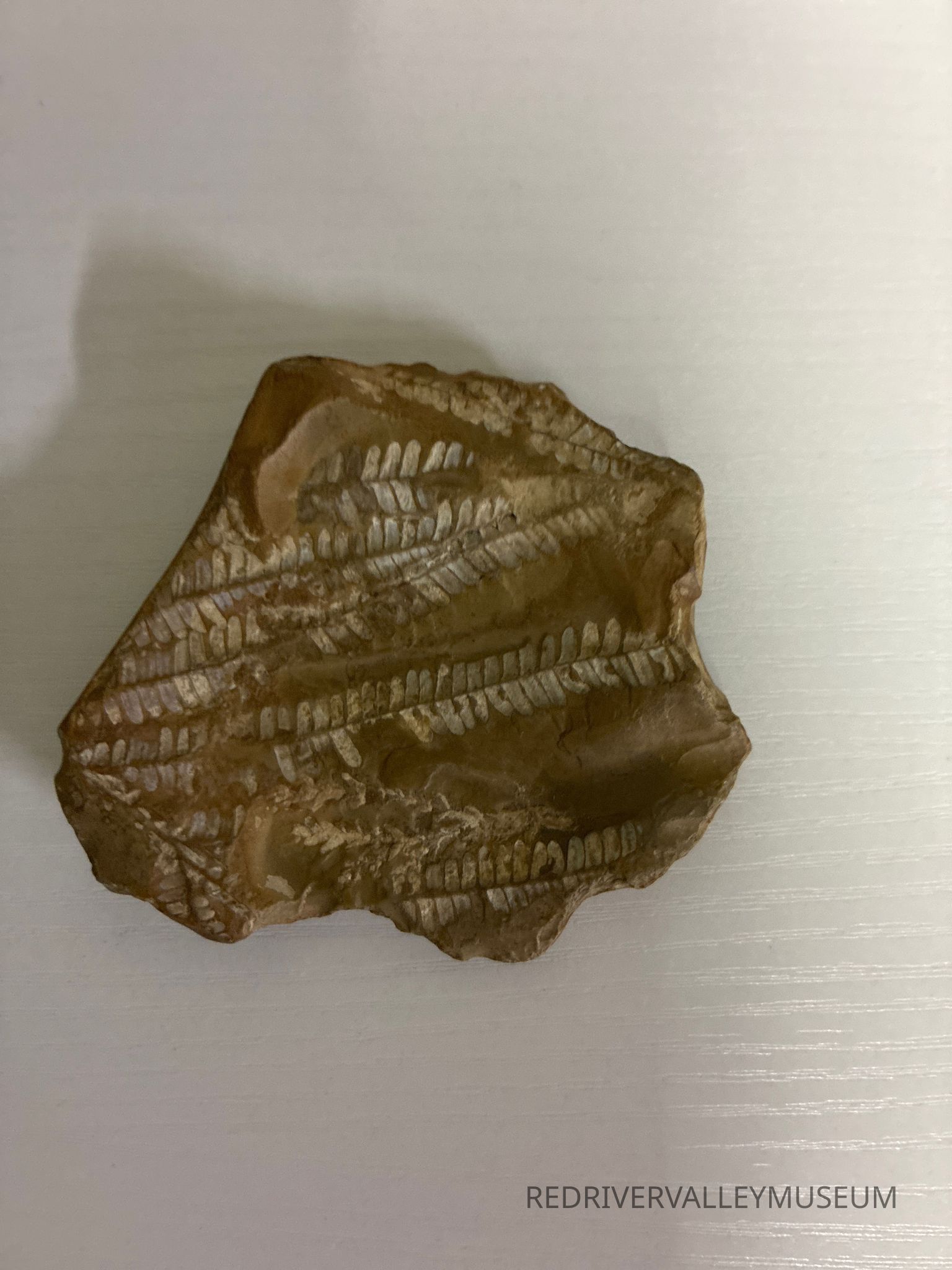 WEB MUSEUM EXAMPLE