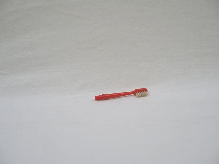 Bart Simpson Toothbrush Set Red Brush
