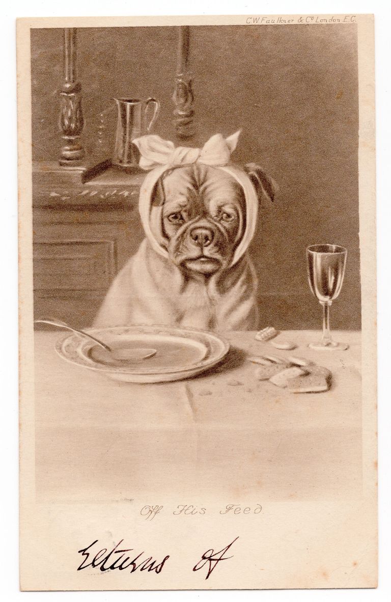 C. W. Faulkner & Co. postcard