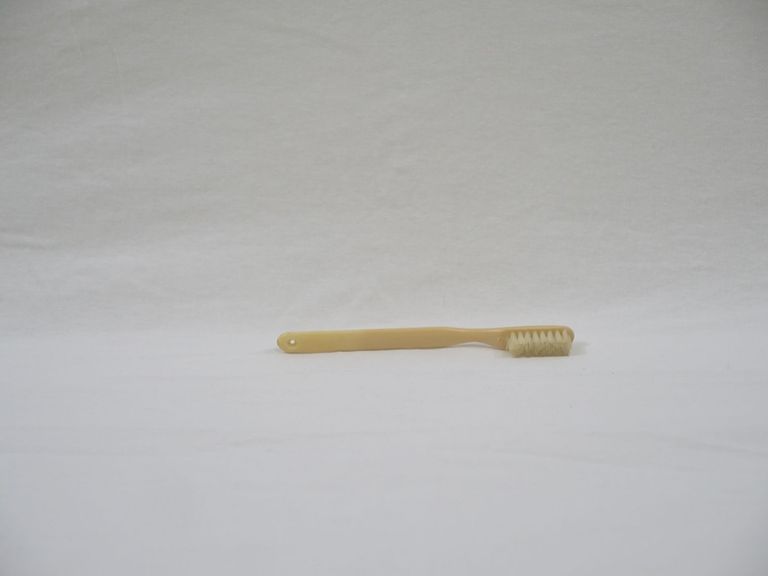Crystal Craft Koala Toothbrush - Image 2