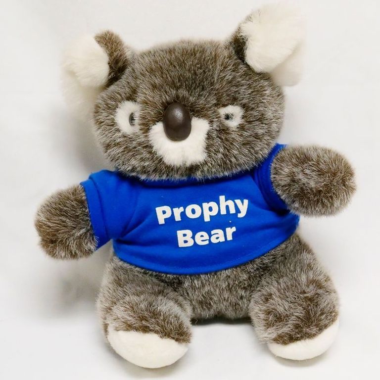 Prophy Bear