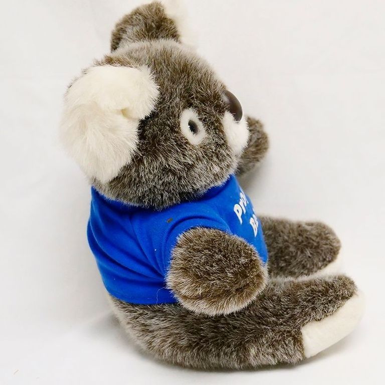 Prophy Bear - Image 4