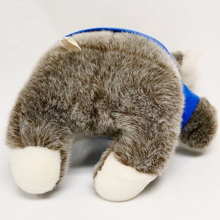 Prophy Bear - Image 5