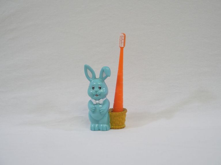 Bunny and Carrot Toothbrush Holder