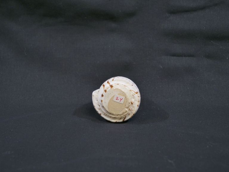 2002.99.2802 Bottom.JPG