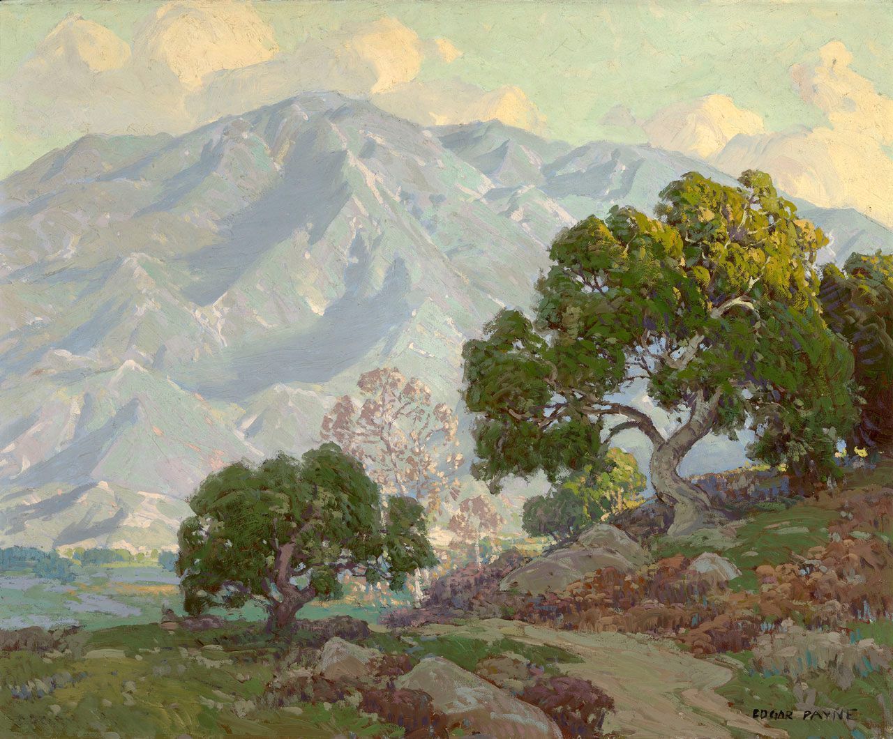 Crocker Art Museum - Art - Oak Tree, Sunset City by Ansel