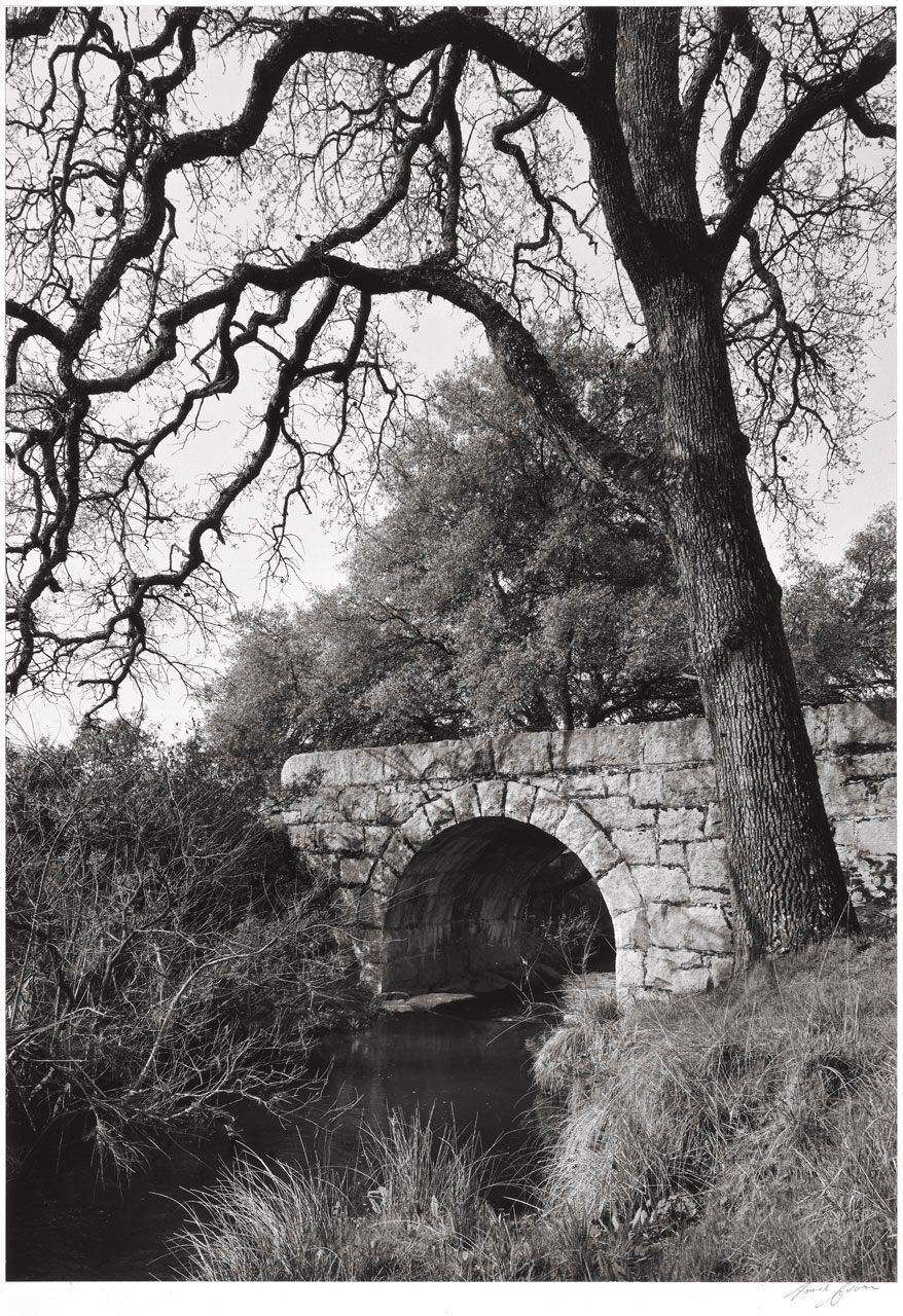 MERCY TREES オランダ写真家　Hans van Ommeren 写真集 e5c1a590-c521-11ee-82f1-