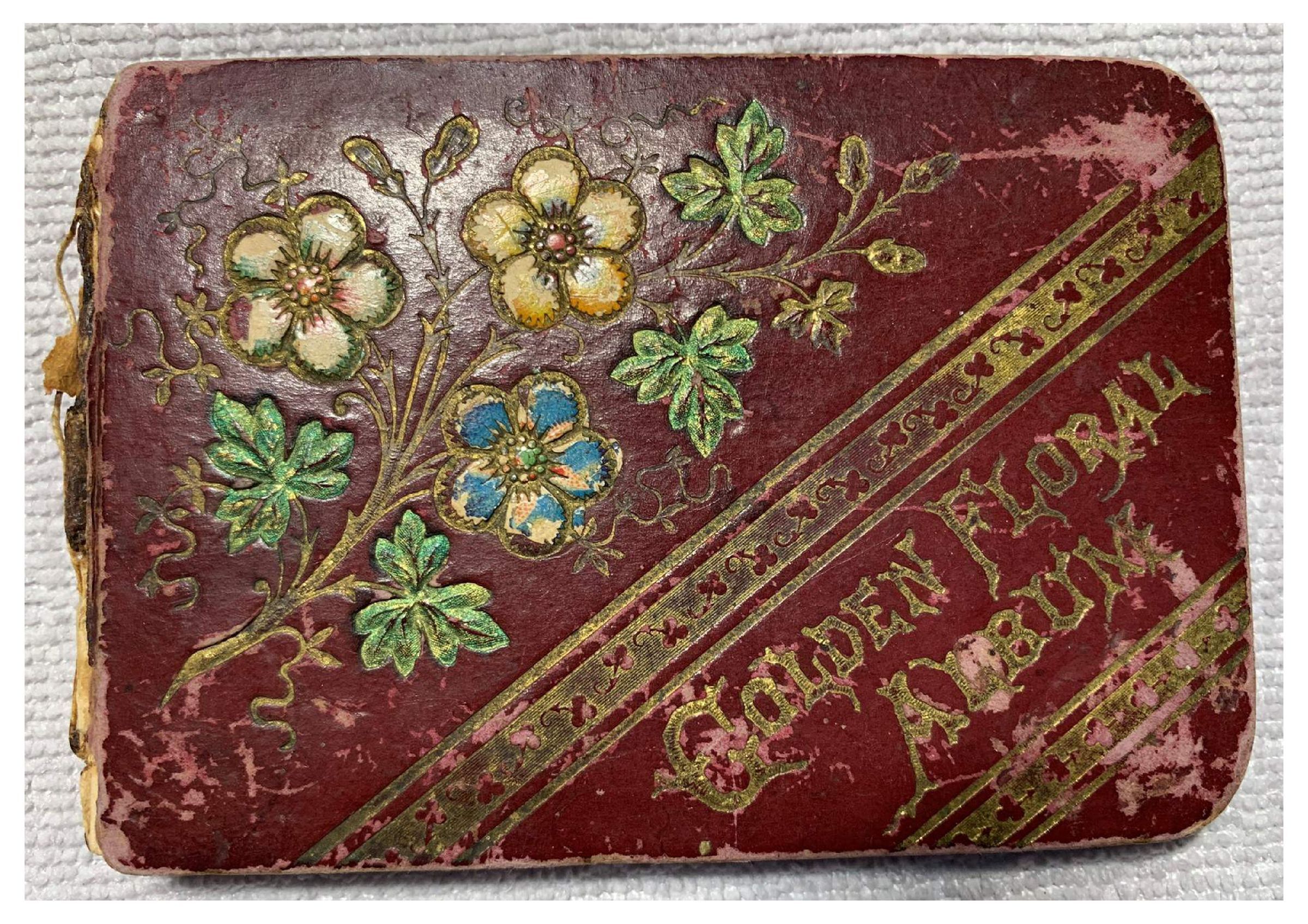 1892-1895 Anna Werger Autograph Album - Cover: Eighteen-page downloadable PDF.
